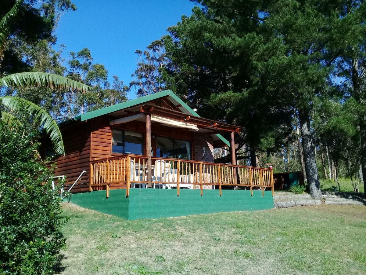 Wild Fig Cottage Sedgefield Zewnętrze zdjęcie